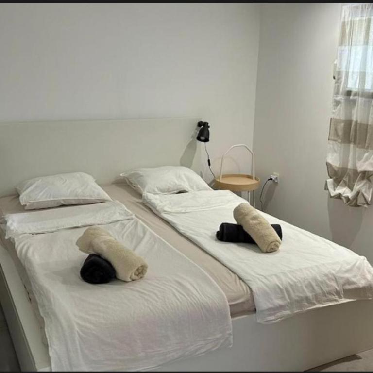 Le Rossignol - Appartement 1 Chambre - 8