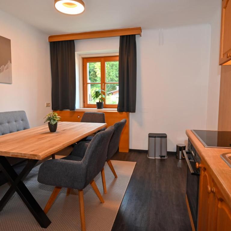 Schmitten 27 Rooms & Apartments by All in One Apartments - Apartment mit 1 Schlafzimmer und Küche - 8