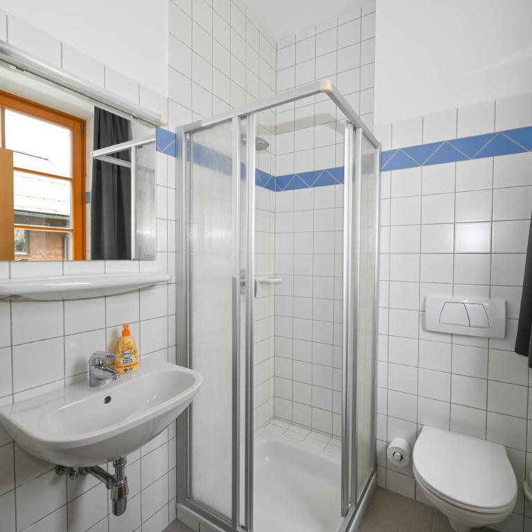 Schmitten 27 Rooms & Apartments by All in One Apartments - Standard Doppelzimmer - 1
