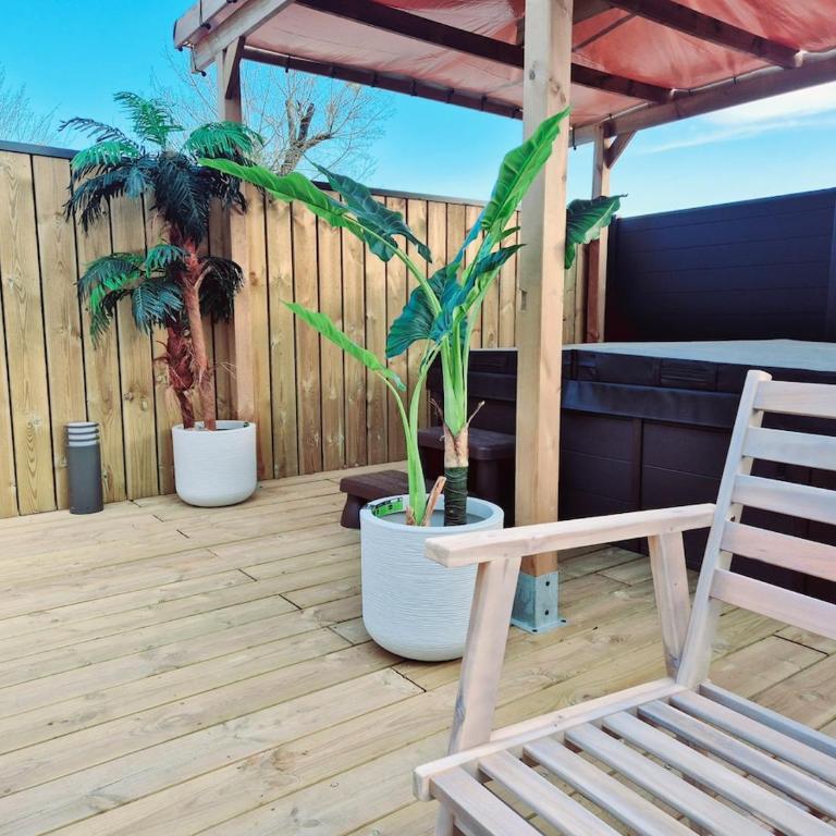 Appartement Spa et Terrasse - Apartment mit 2 Schlafzimmern - 13