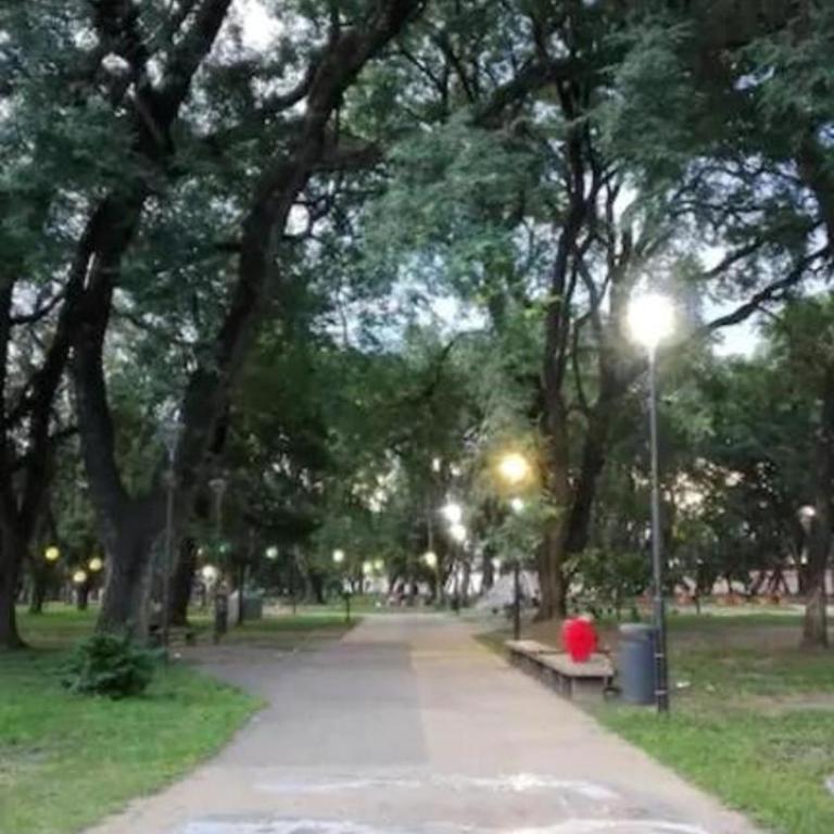 ALTOS de AMADOR - Apartamento - 35