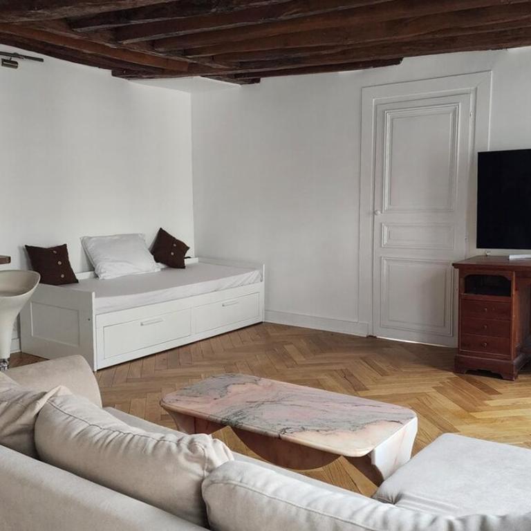 Elegant Haussmann apartment 50m G Lafayette - Appartement 1 Chambre - 9