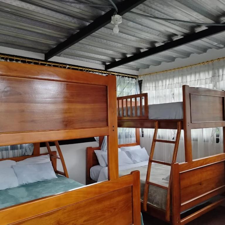 Mindo Golden Bird II - Apartamento - 9