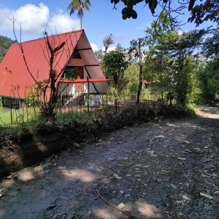 Mindo Golden Bird II - Apartamento - 1