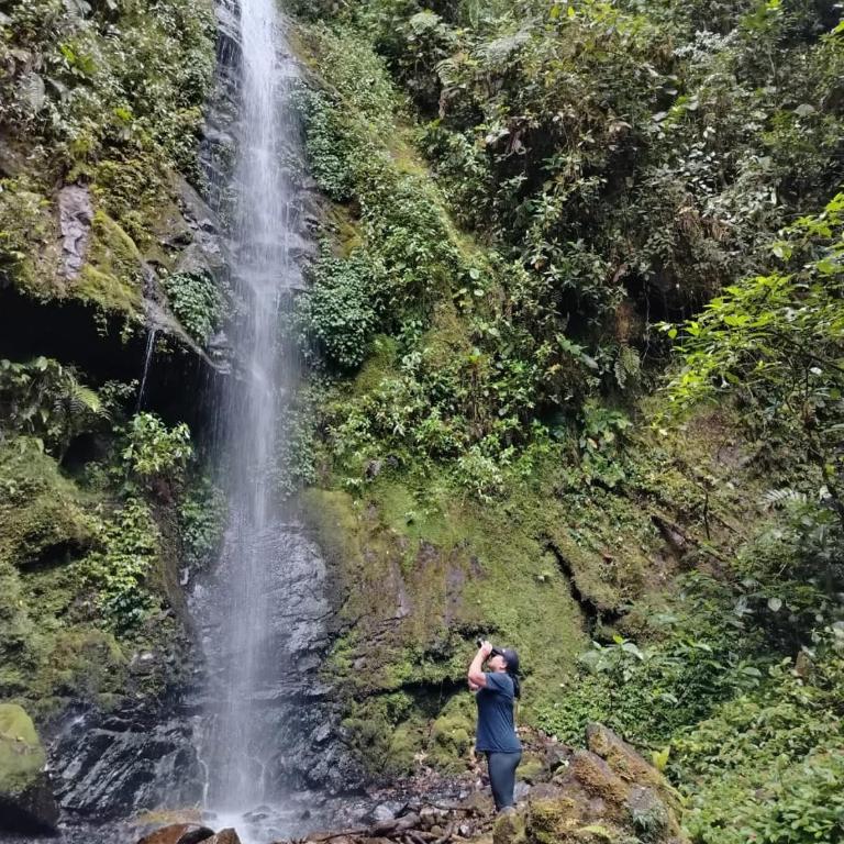 Mindo Golden Bird II - Apartamento - 11