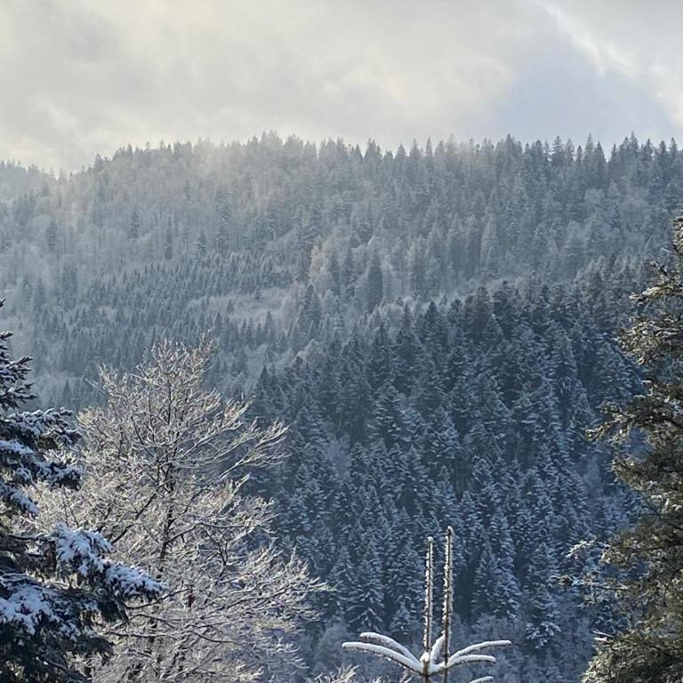 Le souffle des sapins - Apartamento de 2 dormitorios con vistas a la montaña - 2