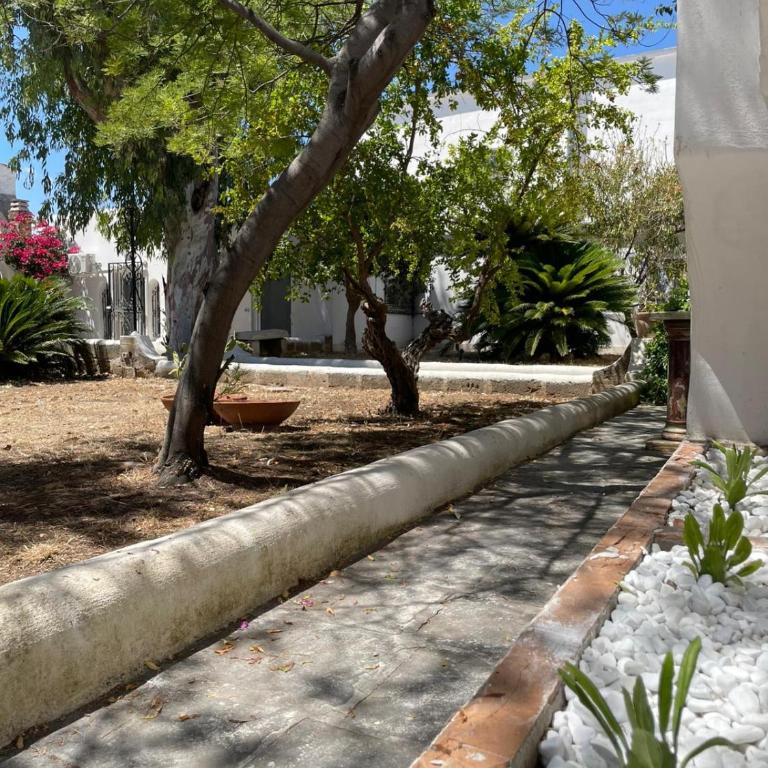 Villa Regina - One-Bedroom House - 4