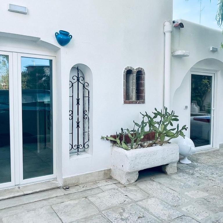 Villa Regina - One-Bedroom House - 12