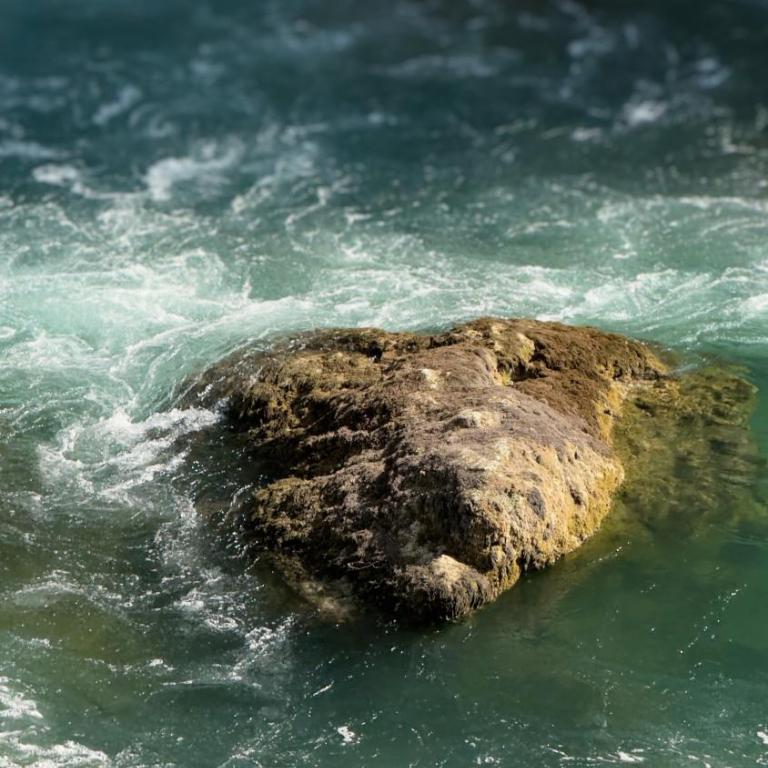 Elza - Kuća sa 1 Spavaćom Sobom - 4