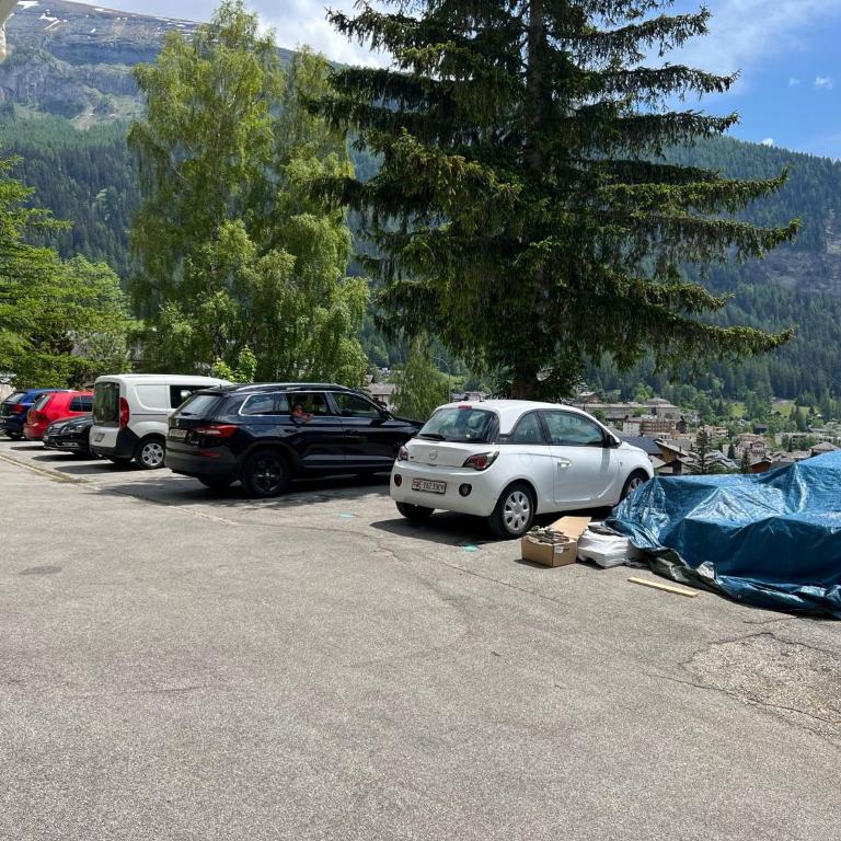 Leukerbad TOP, Thermalquellen, Skigebiet - Appartement 1 Chambre avec Balcon - 8