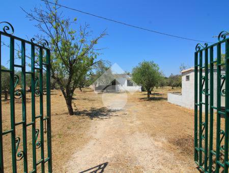 la casetta di ciro - Two-Bedroom House - 10