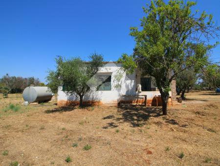 la casetta di ciro - Two-Bedroom House - 12