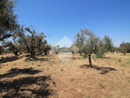 la casetta di ciro - Two-Bedroom House - 14
