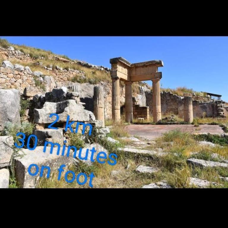 SOLUNTUM - locazione turistica - Haus mit 2 Schlafzimmern - 19