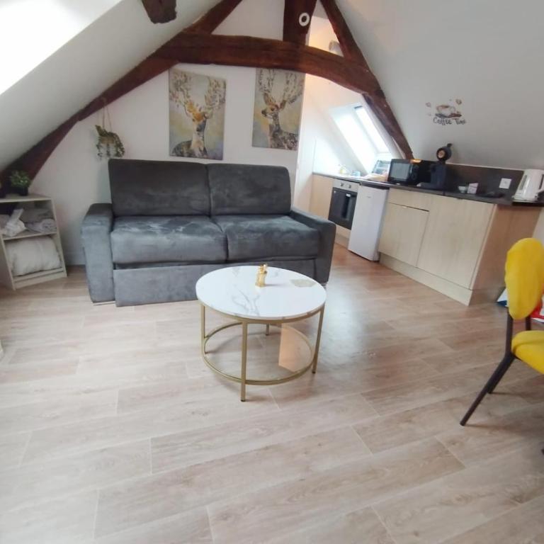 Orléans centre T2 théâtre et cathédrale - Apartamento de 1 dormitorio - 6