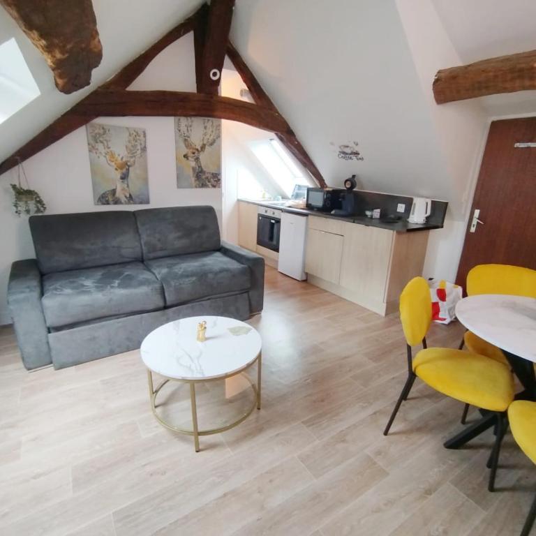Orléans centre T2 théâtre et cathédrale - Apartamento de 1 dormitorio - 5