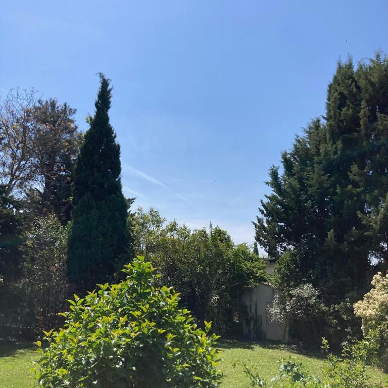 Villa 10 mins a pieds du centre de L Isle sur la Sorgue - Four-Bedroom Vacation Home - 30