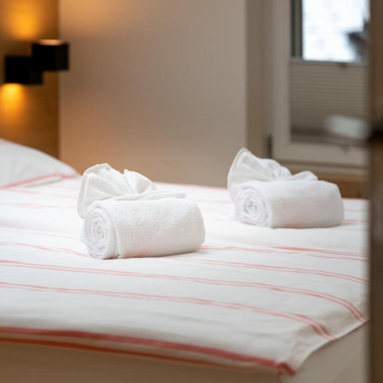 sky- penthouse with matterhorn view - Apartamento Suite de 3 dormitorios - 10