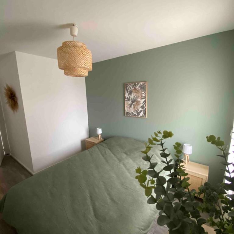 Appartement cosy avec Clim et jardin centre de Gujan - Appartement 2 Chambres - 14