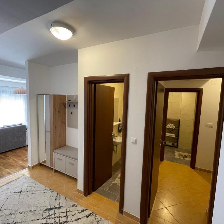 Viktorija Apartment Petrovac - Two-Bedroom Apartment - 13