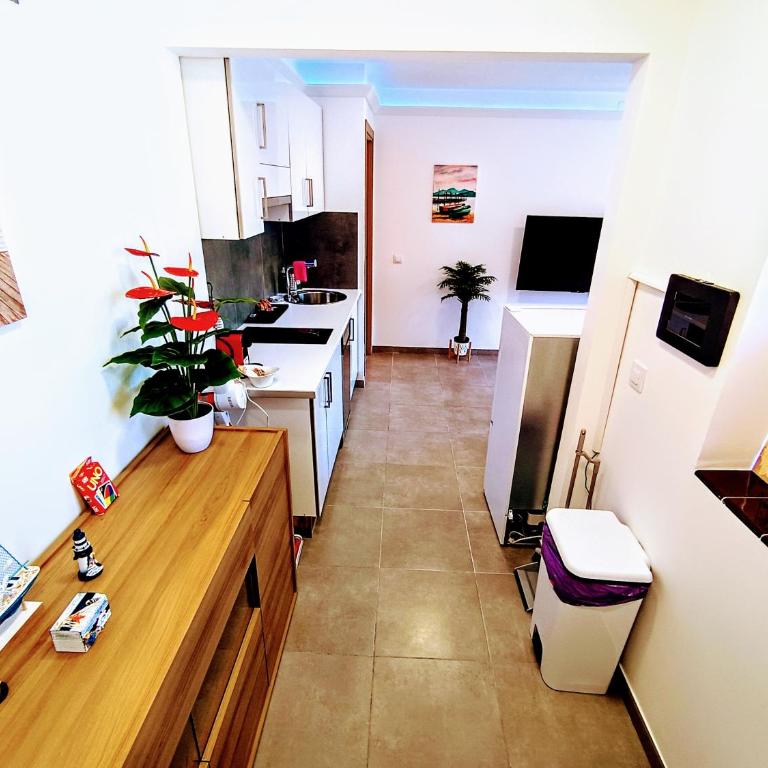 Family Suite with Terrace Garden - Apartamento de 2 dormitorios - 7
