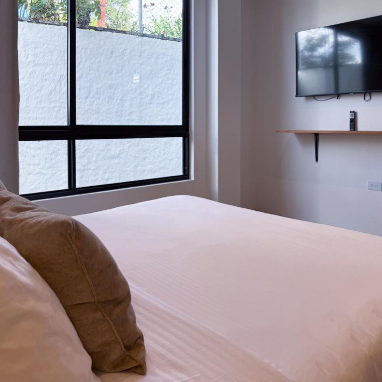Villa Milá - Estudio Deluxe con cama grande - 10