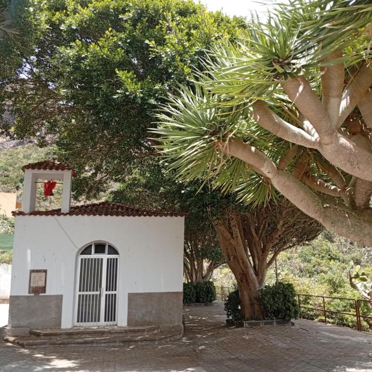 New apartments "Sea view" with kitchen and private bathroom - Apartamento de 1 dormitorio - lado mar - 8