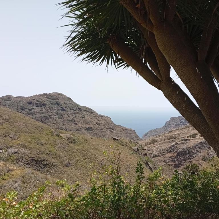 New apartments "Sea view" with kitchen and private bathroom - Apartamento de 1 dormitorio - lado mar - 9