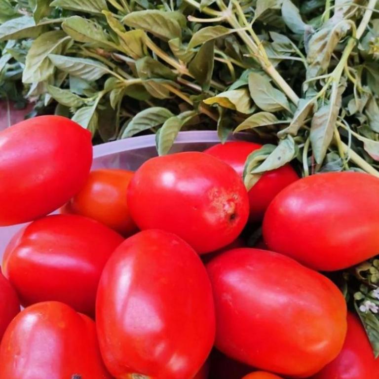 Casona Diabla - Apartamento de 3 dormitorios - 15