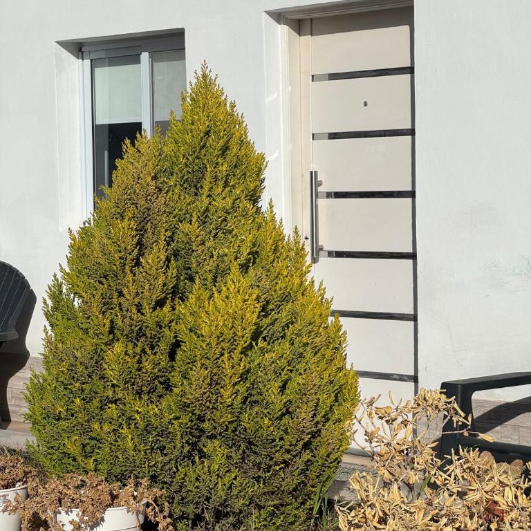 Hospedaje Atrapasueños Fiambala - Apartamento de 2 dormitorios - 9