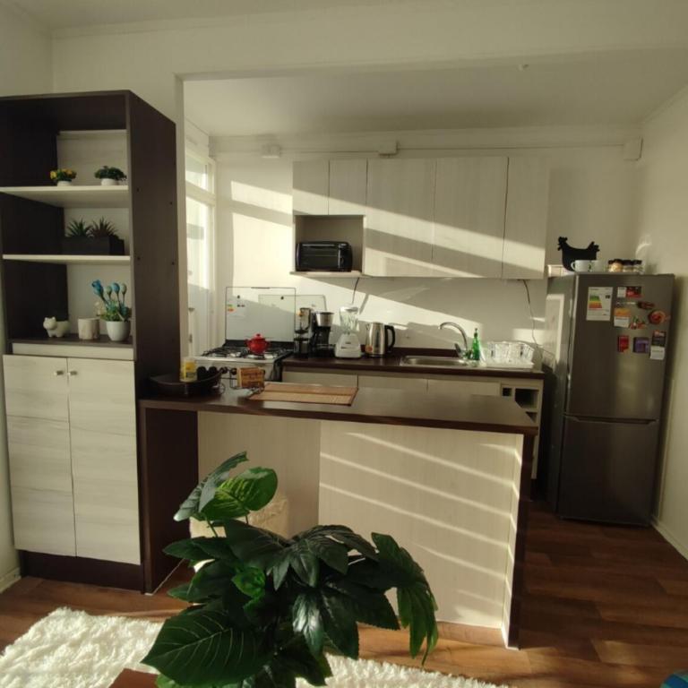 Hermoso departamento a pasos de santo domingo - Apartamento de 1 dormitorio - 4