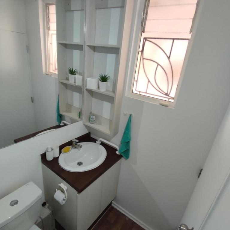 Hermoso departamento a pasos de santo domingo - Apartamento de 1 dormitorio - 5
