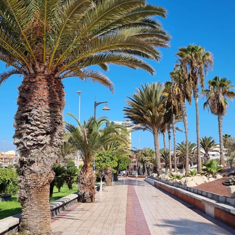 Las Vistas Beach - Apartamento de 2 dormitorios - 19