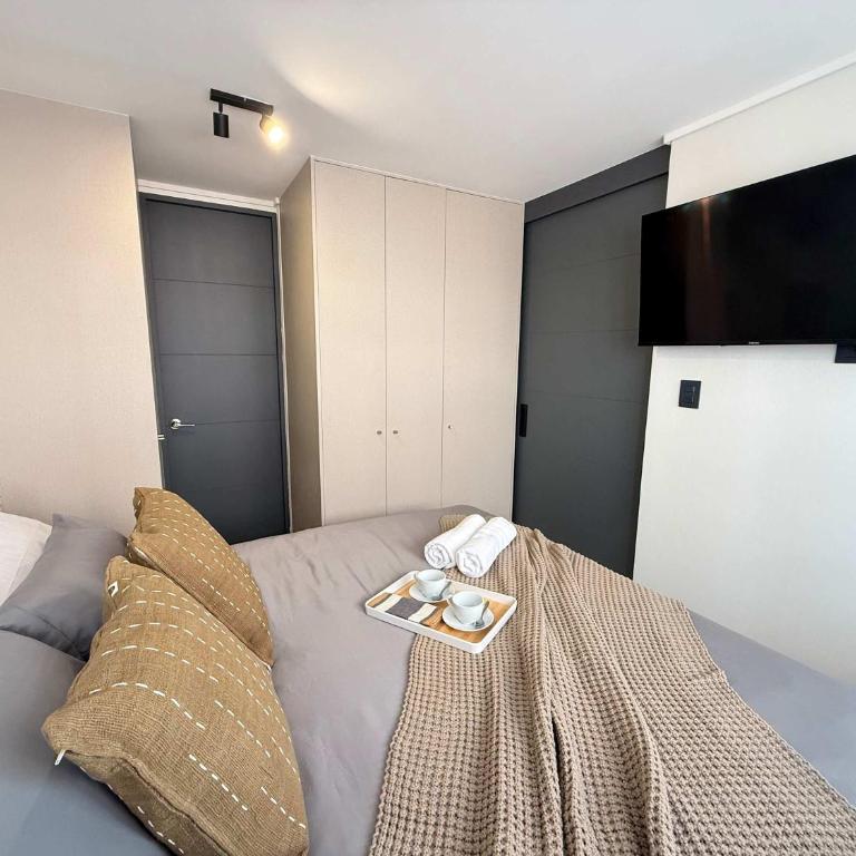 HOM I Cerca del Movistar Arena AA Depto 1D1B Stgo - Apartamento - 4