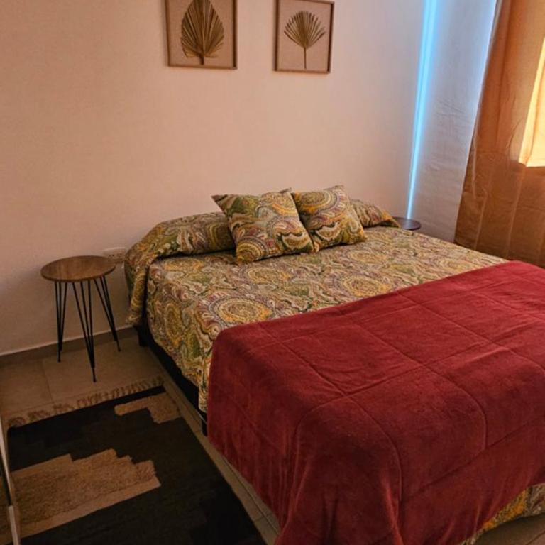 DG Rosa María - One-Bedroom Apartment - 12