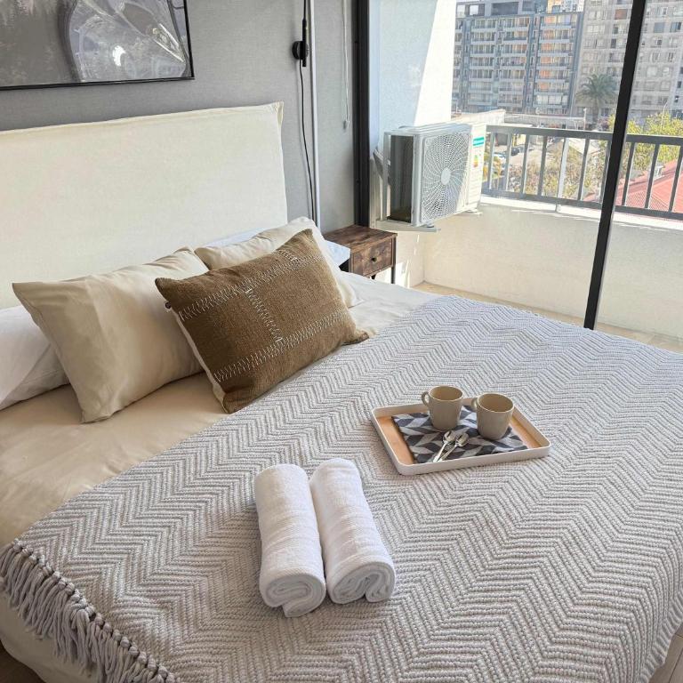 HOM l 1D1B, WiFi, AA, Lavandería, Smart TV, Santiago Centro - Apartment - 13