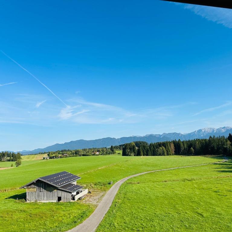 Langegger Alm - Sennerstube - Apartment - 22