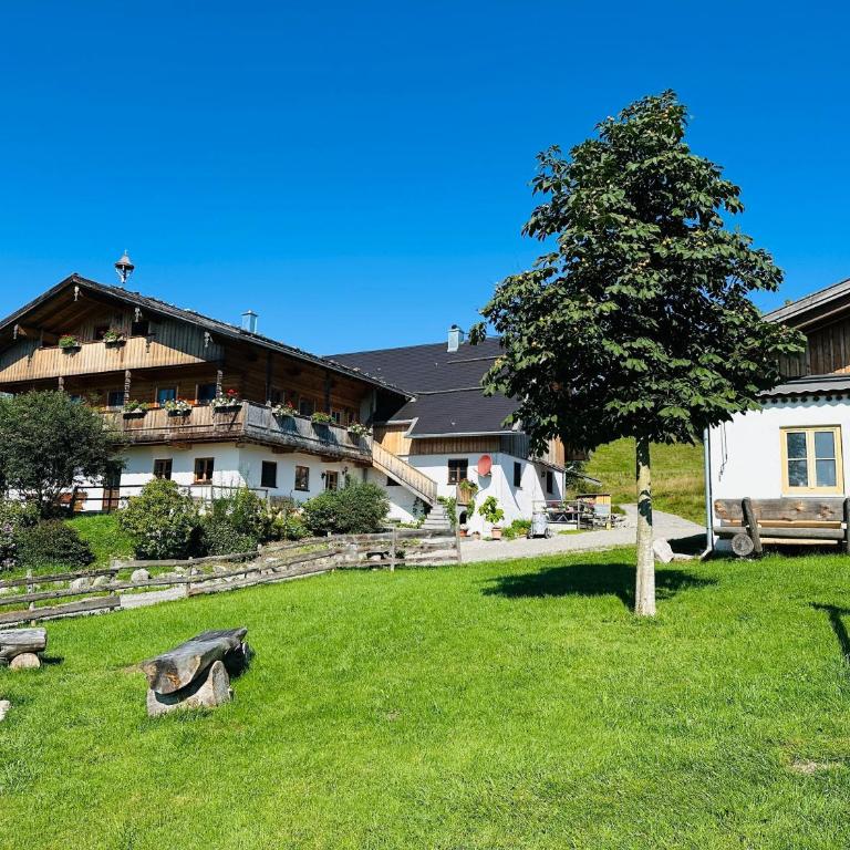 Langegger Alm - Almhütte - Apartment - 1