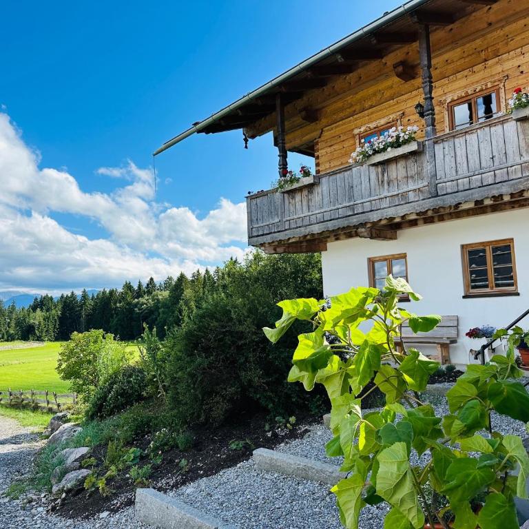Langegger Alm - Almhütte - Apartment - 24