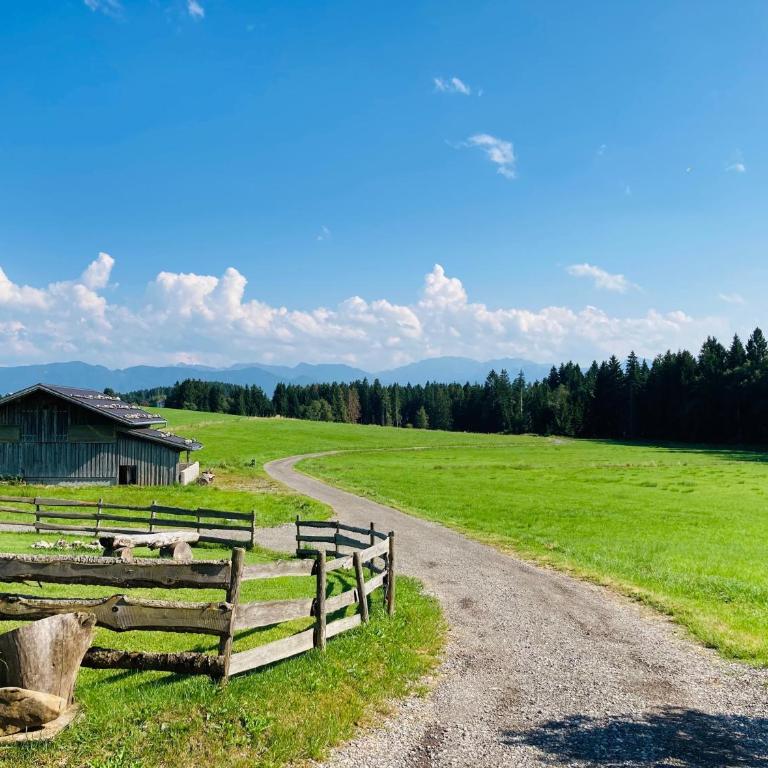 Langegger Alm - Almhütte - Apartment - 28