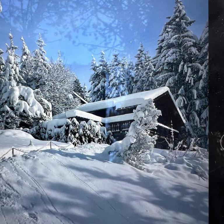 Chalet Toccata, cosy et lumineux - Three-Bedroom Chalet - 24