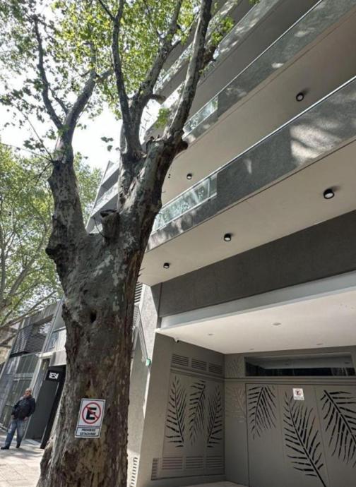 Departamento Moderno y Economico - Apartamento de 1 dormitorio - 8