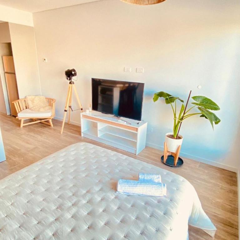 Premium Studio in Downtown - One-Bedroom Apartment - 4