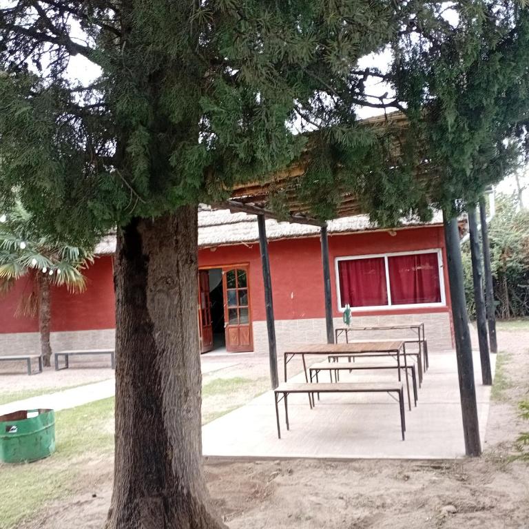 Villa Beliz - Apartamento de 1 dormitorio - 2