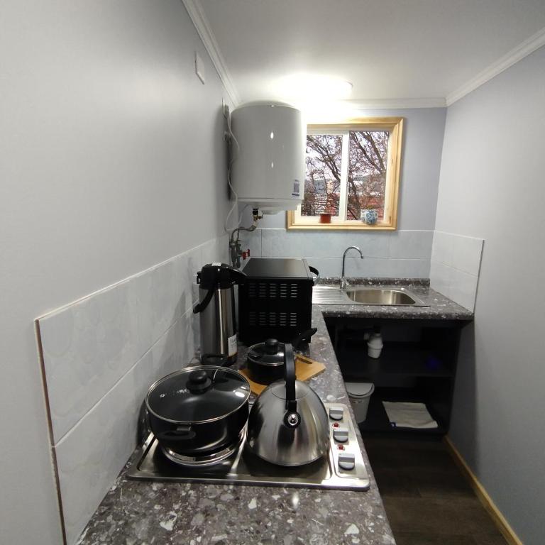 Cabañas Valdivia - Apartamento de 1 dormitorio - 4