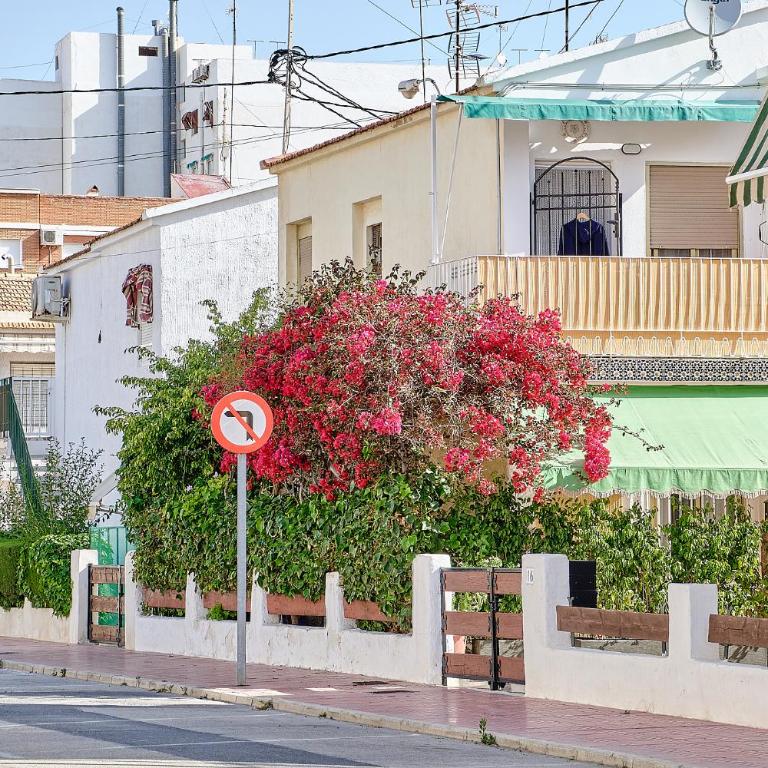 Beach Apartment in Santa Pola - Apartamento de 1 dormitorio - 19