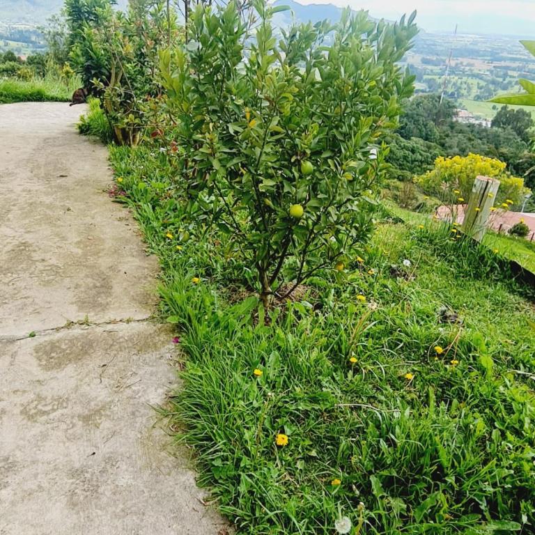 MIRADOR CHURUGUACO Alto - Chalet - 96