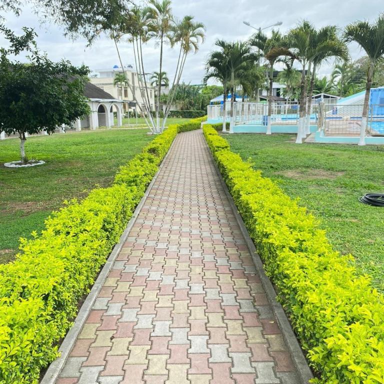 Beautiful apartment on Tonsupa Beach - Three-Bedroom Apartment - 8