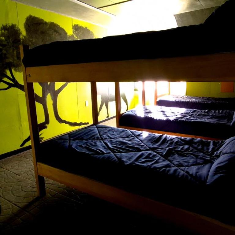 Leyna's Home - Bed in 6-Bed Mixed Dormitory Room - 1