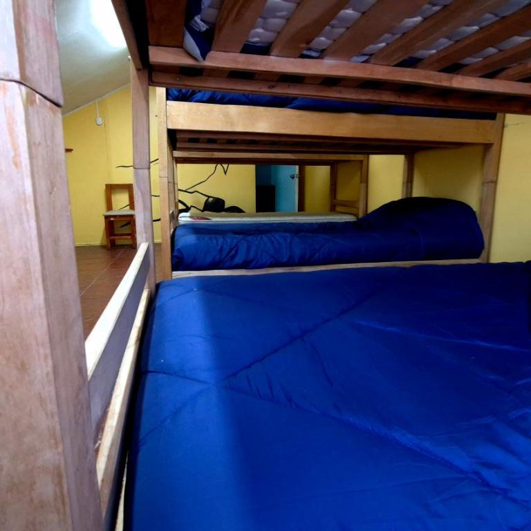 Leyna's Home - Bed in 6-Bed Mixed Dormitory Room - 6